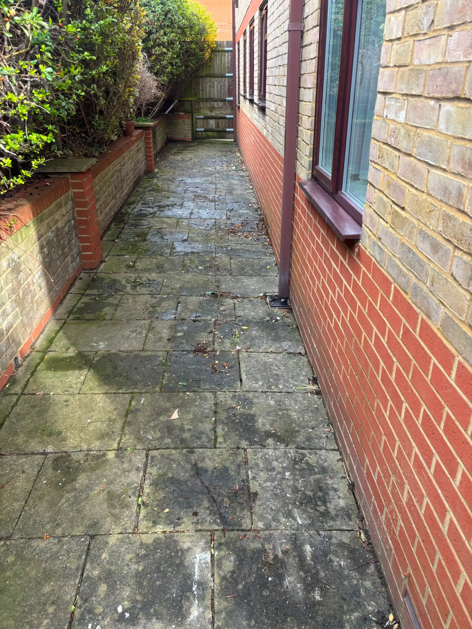 Cleared side passage after a clearance Cleared paved side passage beside a brick residential property.