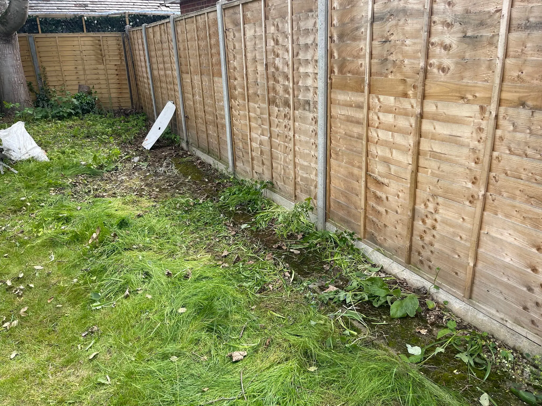 Garden edge after the pile of cut branches and green waste has been removed.