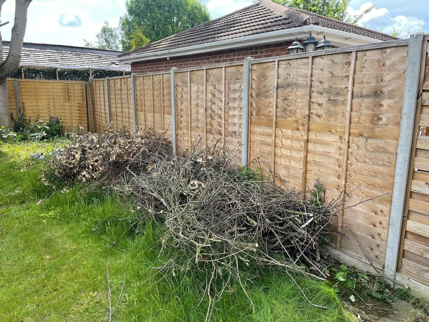 Long pile of cut branches and green garden waste beside a fence before collection.