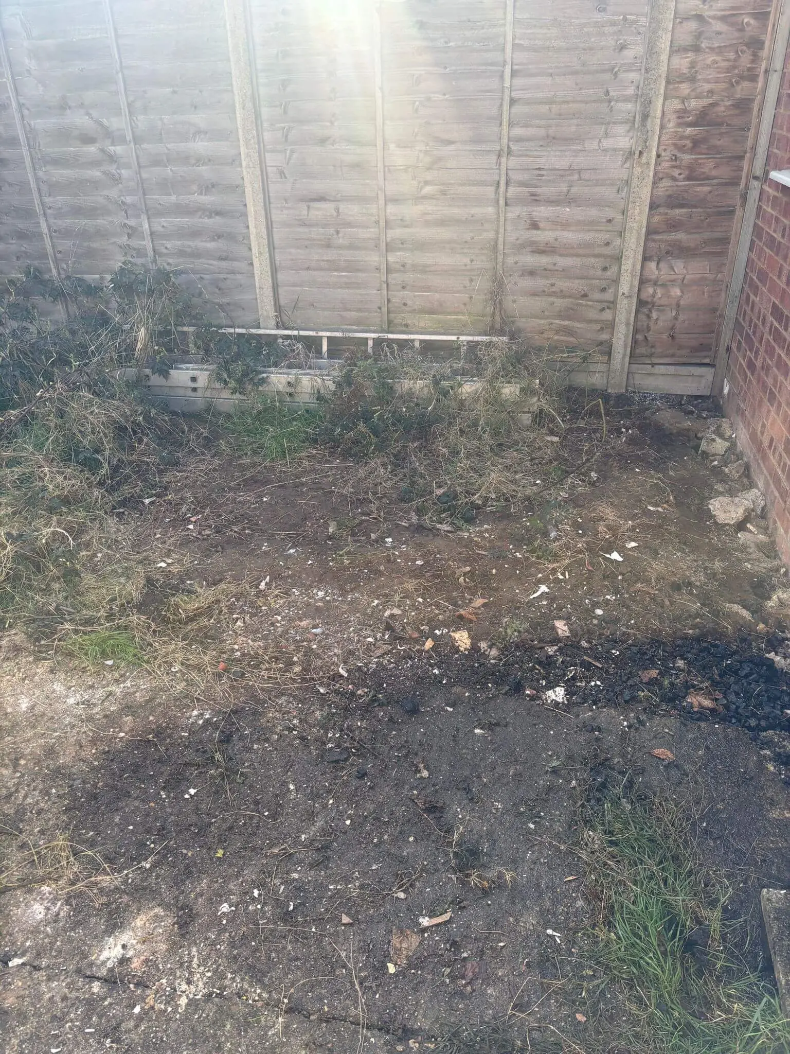 Garden corner after pallets, bags and mixed bulky waste have been removed.