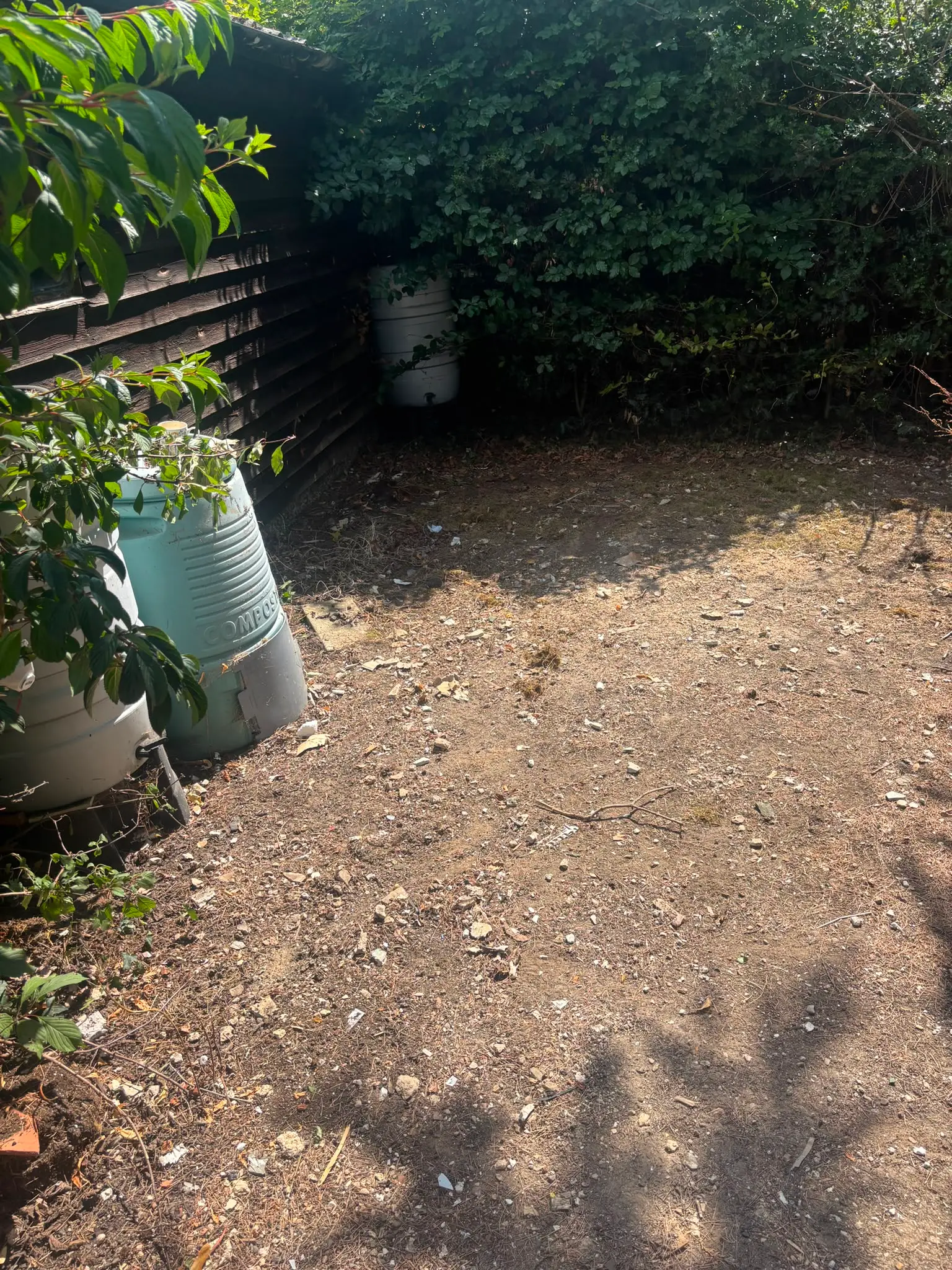 The same ground beside the timber outbuilding cleared, with the compost bins visible again.